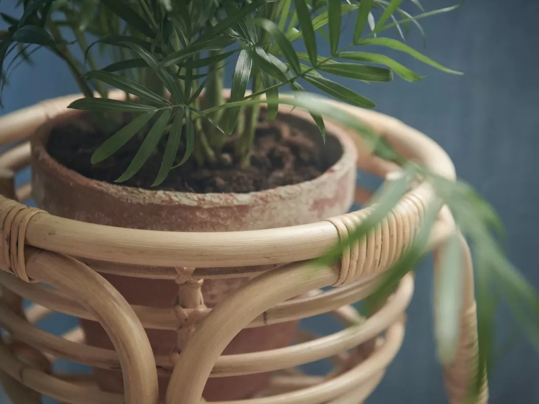 10 pilihan rak bunga kayu cantik dan sederhana